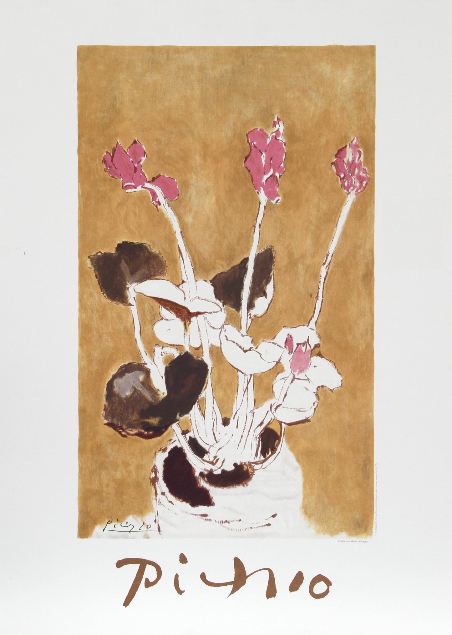 Les Cyclamens