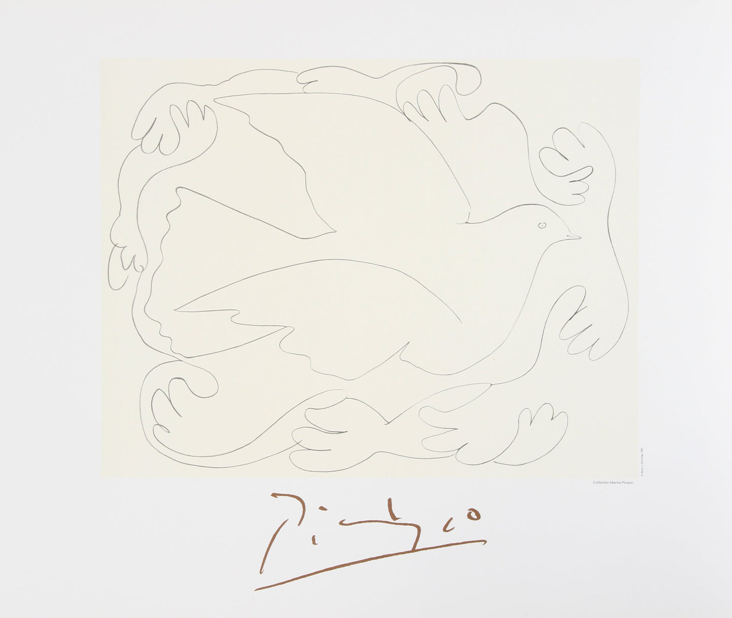 Etudes de Mains et Colombe