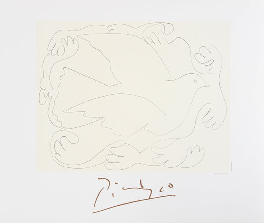 Etudes de Mains et Colombe