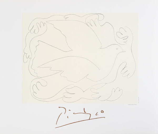 Etudes de Mains et Colombe