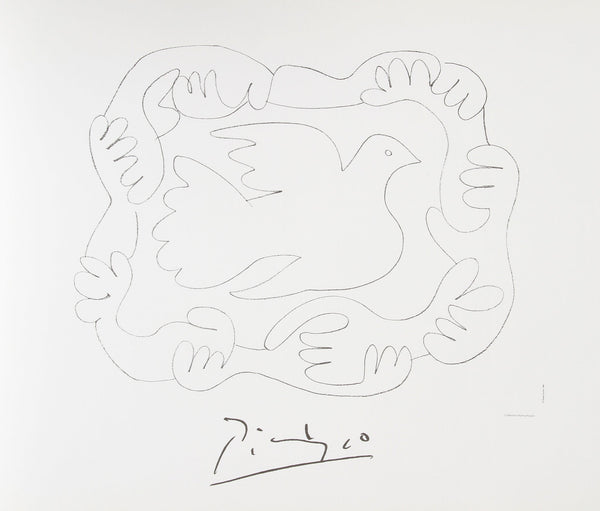 Etude de Mains et Colombe